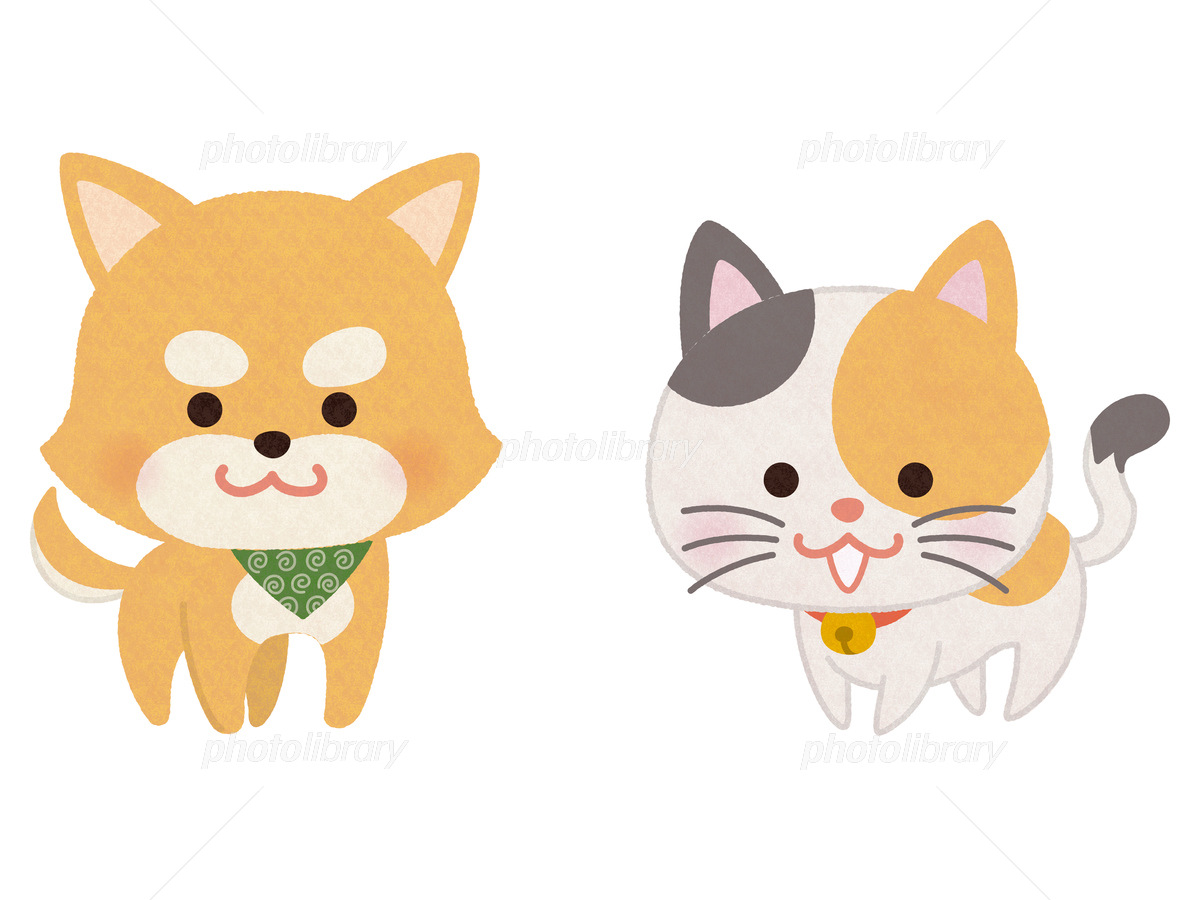 日本全国送料無料 犬と猫の絵 Tech Muhoko Org