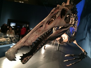 スピノサウルス２