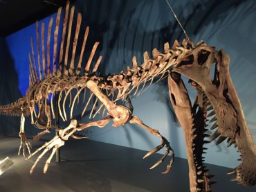 スピノサウルス１